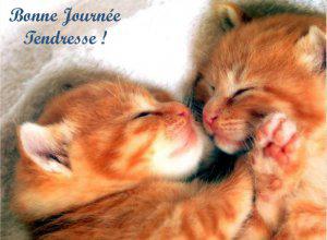 bonne journée